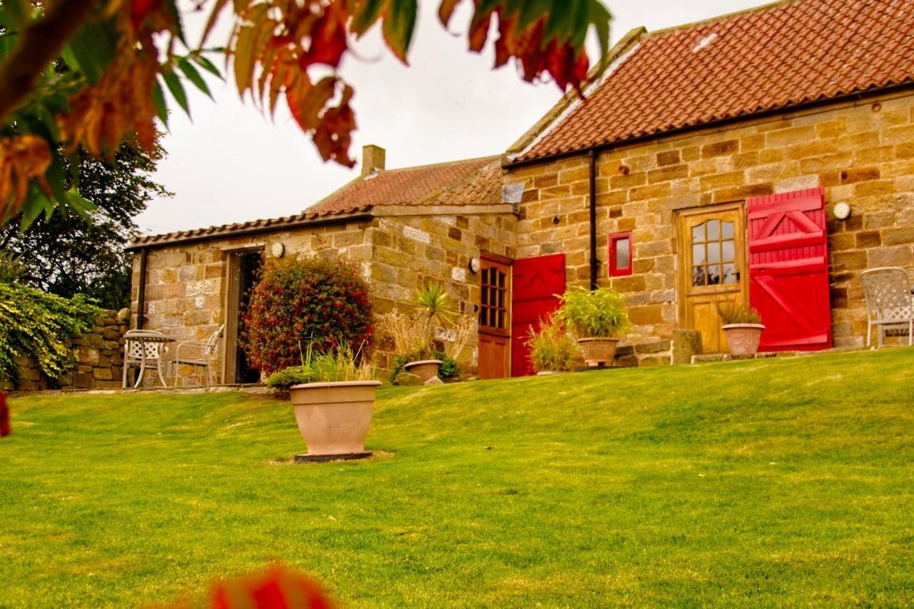 Rosecombe, Borrowby Farm Cottages Staithes Bagian luar foto