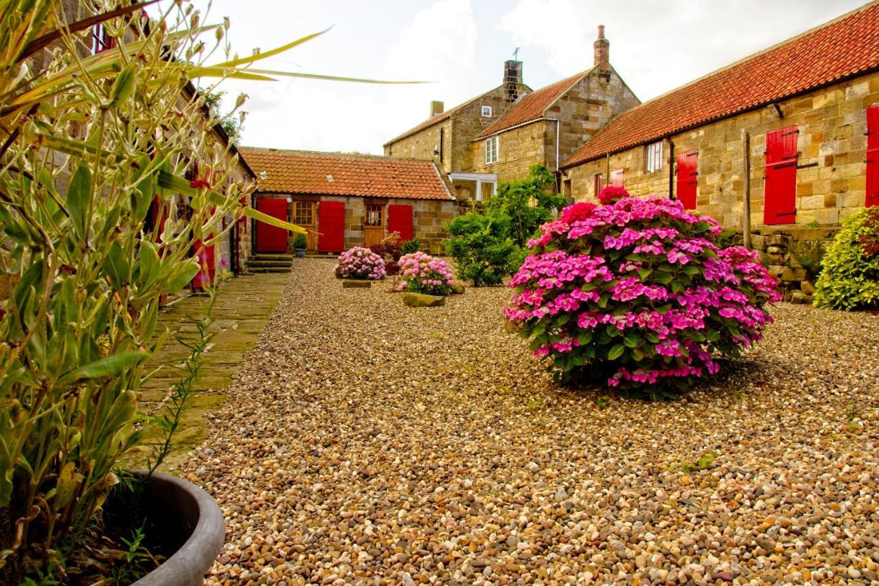 Rosecombe, Borrowby Farm Cottages Staithes Bagian luar foto